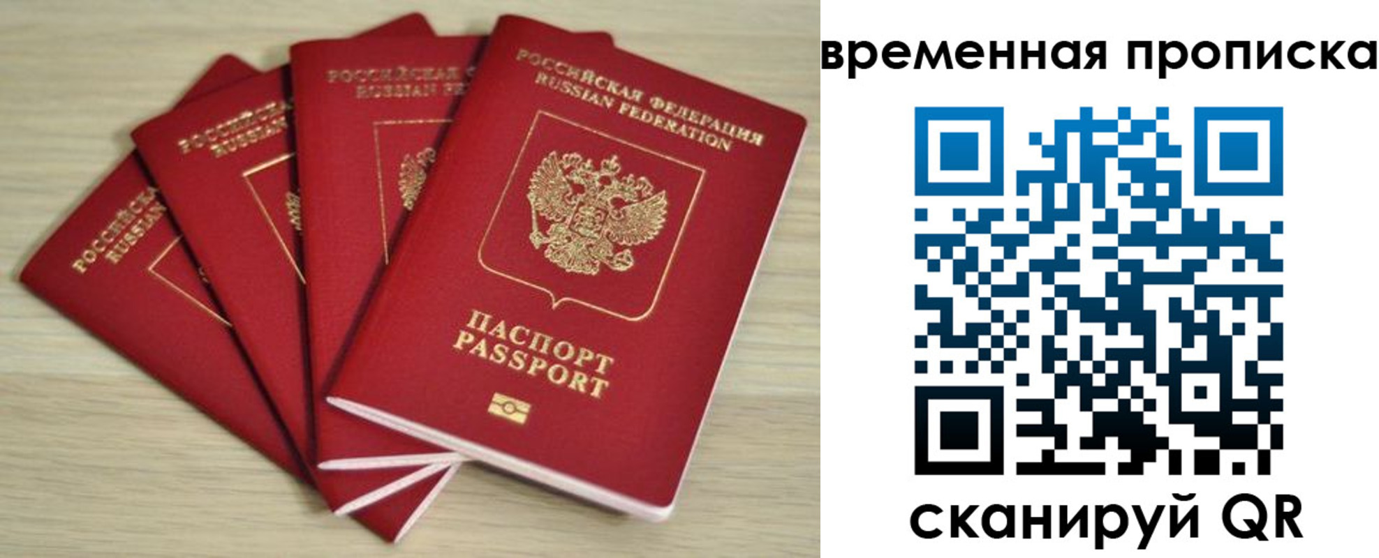 прописка для школы в Сертолово